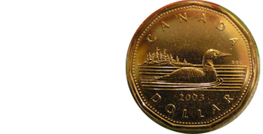 Spyware Loonie
