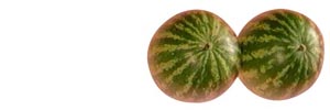 Melons